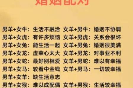 生辰八字看什么样的人感情最专一 生辰八字谁最专一