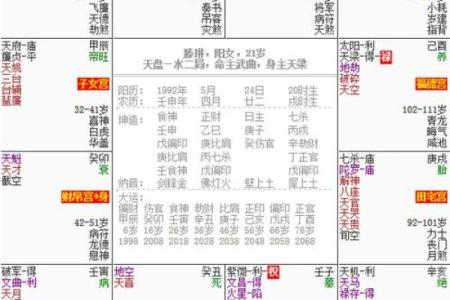 紫薇斗数星盘分析