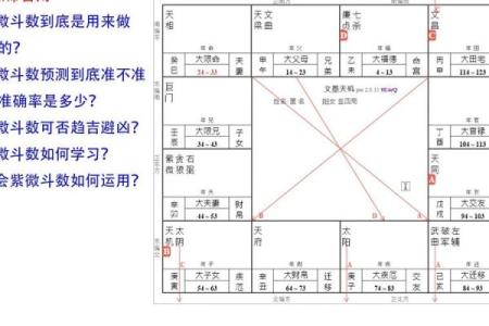 免费看紫薇斗数