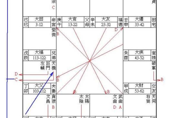 龙德紫薇斗数