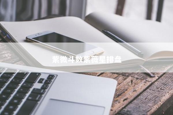 紫微斗数紫薇星排盘