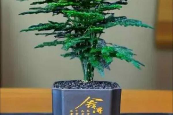 办公室花卉摆放风水 小小的一盆花也有讲究