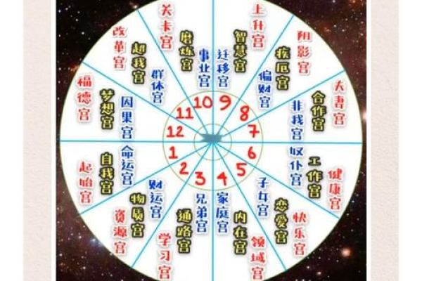 紫薇星座八月爱情运势