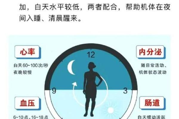 八字与熬夜