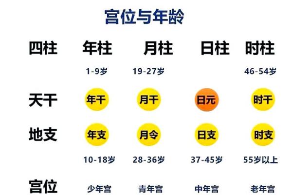 如何利用四柱八字成为成功的官员