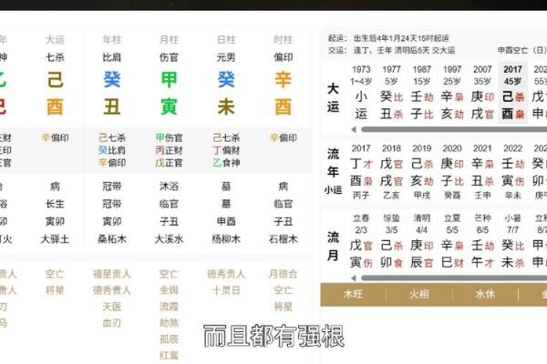八字伤官配印的命理分析