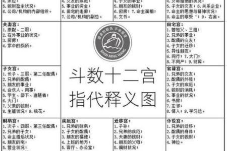 修行人的紫薇斗数