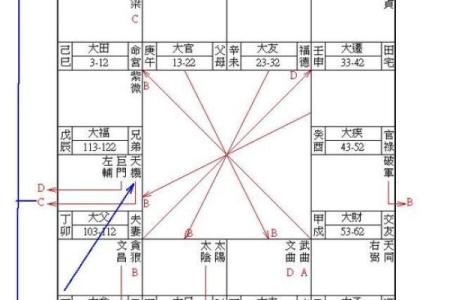 龙德紫薇斗数