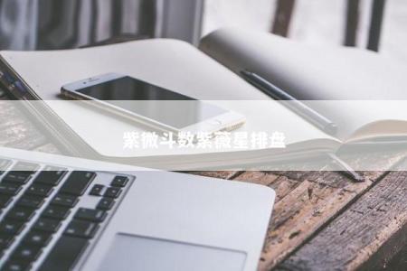 紫微斗数紫薇星排盘