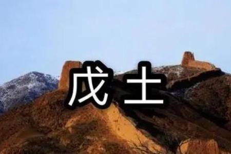 八字戊土