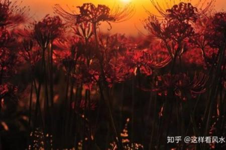 月老看姻缘可信吗知乎 月老看姻缘可信吗知乎小说？