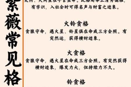紫薇星座八月爱情运势