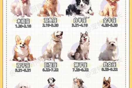 12星座适合养的什么狗