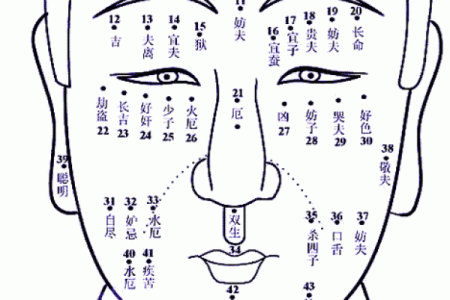 算命的说我是白虎女，克夫克子克自己——1