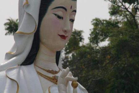 坟前放观音