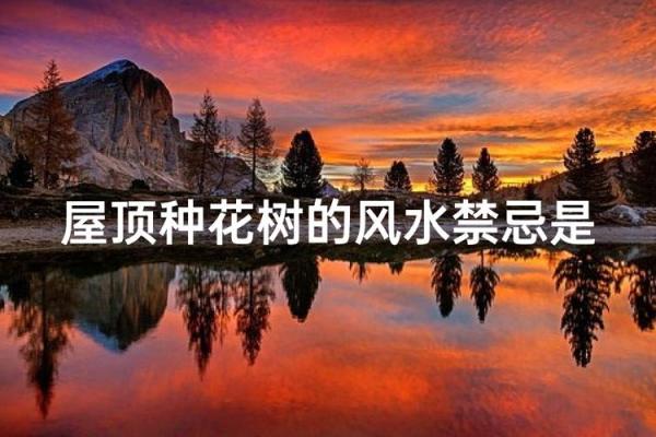 房子周围种菜有风水讲究吗