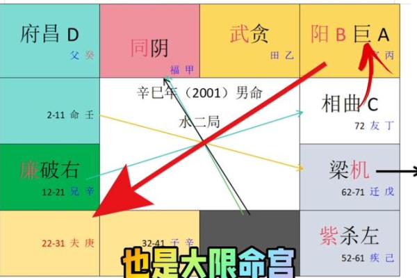 紫薇星斗数命盘怎么看