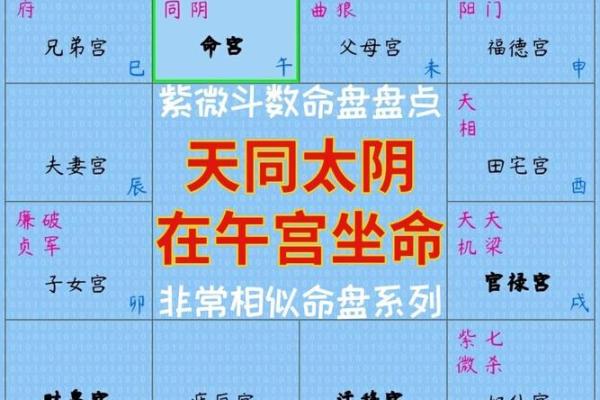 命主禄存在紫薇斗数代表什么