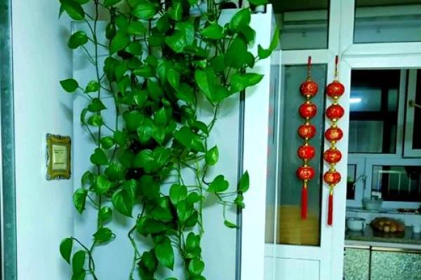 家居风水布局助你解决烂桃花