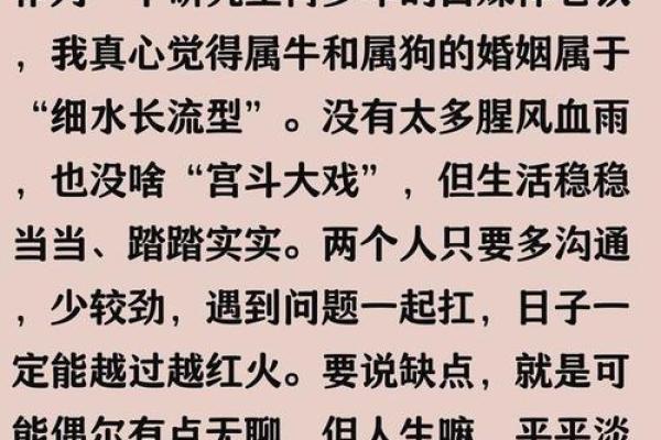 属狗和属牛的八字合吗