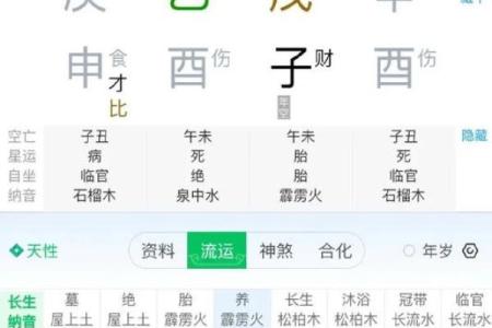 儿格八字
