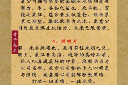 公司起名打分测试100分免费打分 公司起名打分测试100分免费打分是如何进行打分的