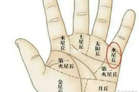 手相-掌丘算命图解
