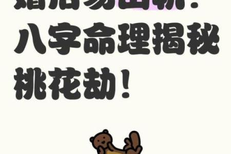 李亦非八字命理详解及运势分析