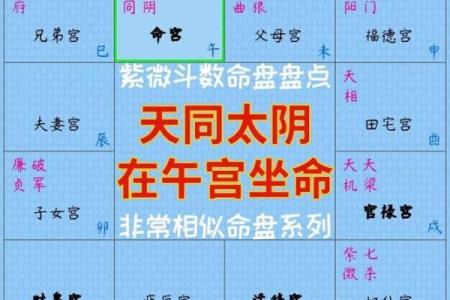 命主禄存在紫薇斗数代表什么
