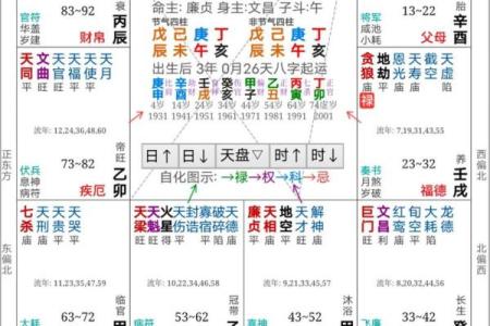 紫薇斗数限运