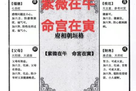 紫薇斗数没有紫薇