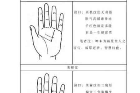 怎么看手相算命，怎么看手相算命图解