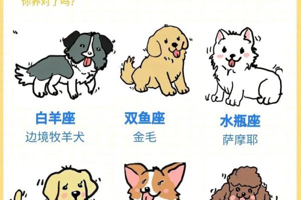 十二星座最喜欢的动物