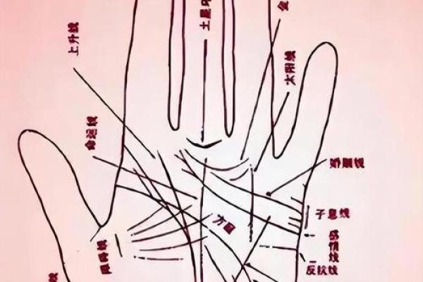 女手相算命图解