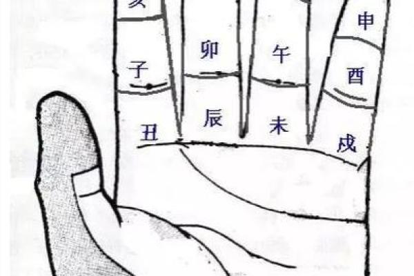 女手相算命图解