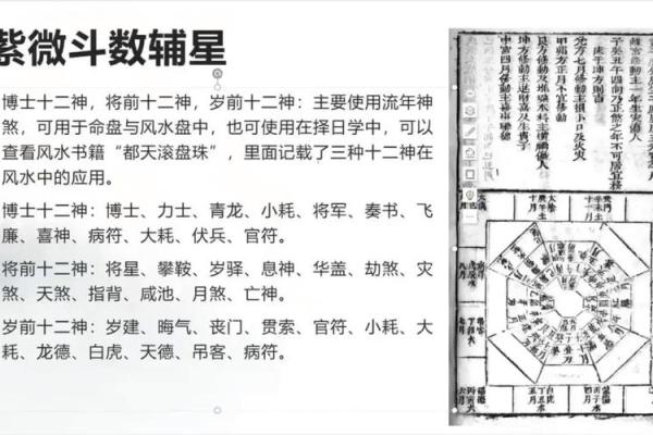 紫薇斗数左辅右弼代表男女