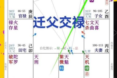 紫微斗数看事业／学业