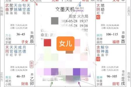 紫薇斗数迁移天哭
