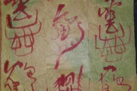 算命不如认命是什么意思