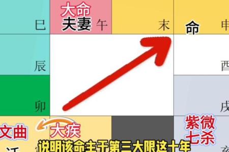 紫微斗数案例25健康：抑郁的命盘啥样？你在什么时间渡劫？