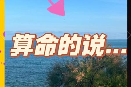 大家我算命网