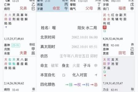 紫薇斗数定盘软件