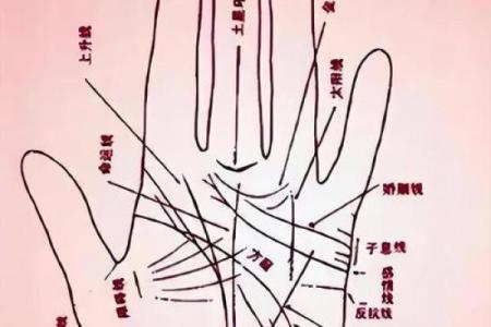 女手相算命图解