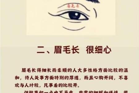 八字眉的人命运究竟如何-