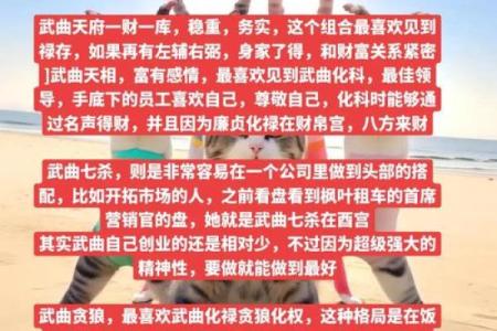 紫微斗数之兄弟宫与诸星,武曲星在兄弟宫是什么意思？