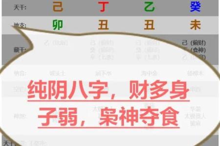 八字纯阴做什么发财,八字纯阴不能去寺庙