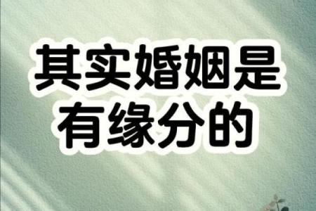 免费测试两人婚姻缘分 免费测两个人的婚姻？
