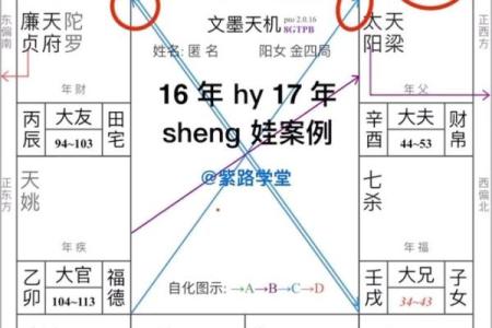 排紫薇斗数流年