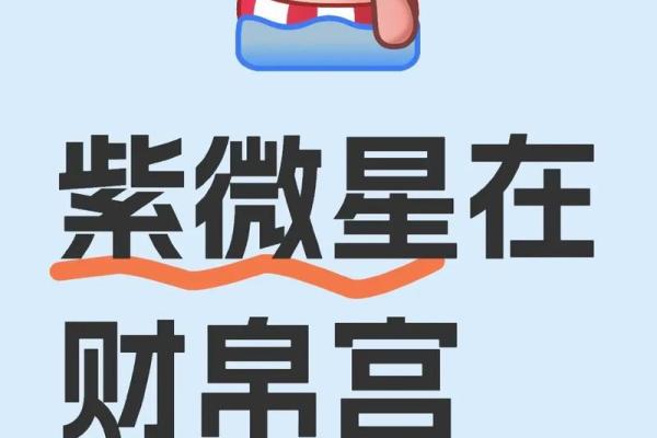 紫薇斗数紫薇星财锦