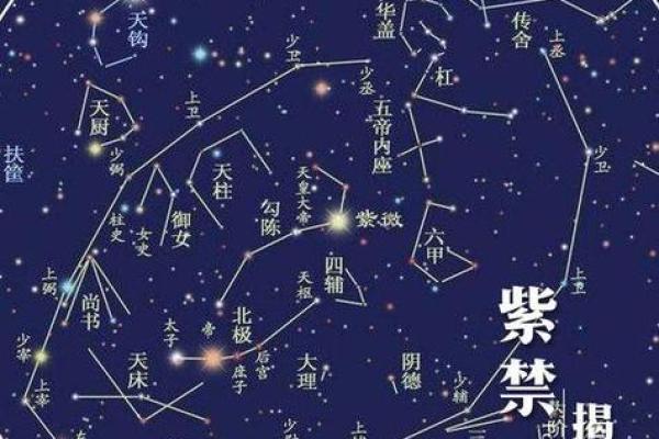 紫薇斗数紫薇星财锦